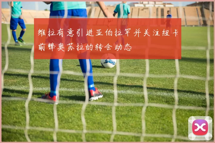 维拉有意引进亚伯拉罕并关注纽卡前锋奥苏拉的转会动态